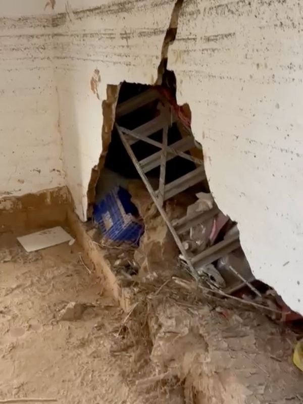 viviendas proyecto manos amigas